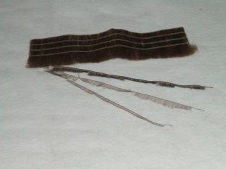 K640_DSCF1155_Wimpern.JPG